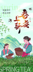 早春新茶