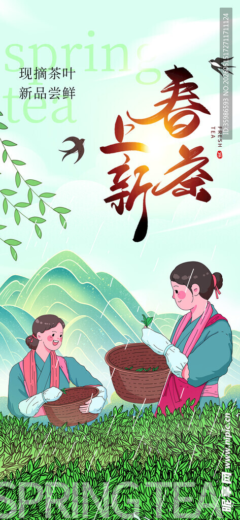 早春新茶