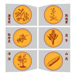 传统中医草药图示