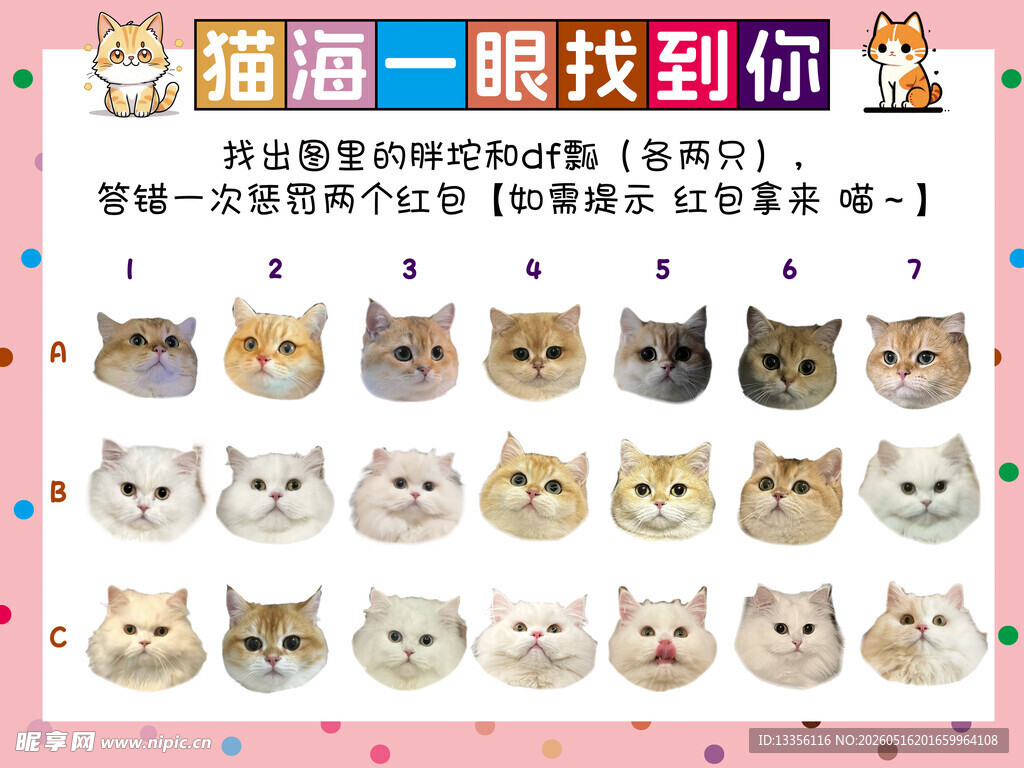 猫猫一眼找到你趣味测试