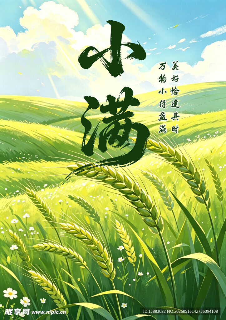 小满时节麦田绿意盎然