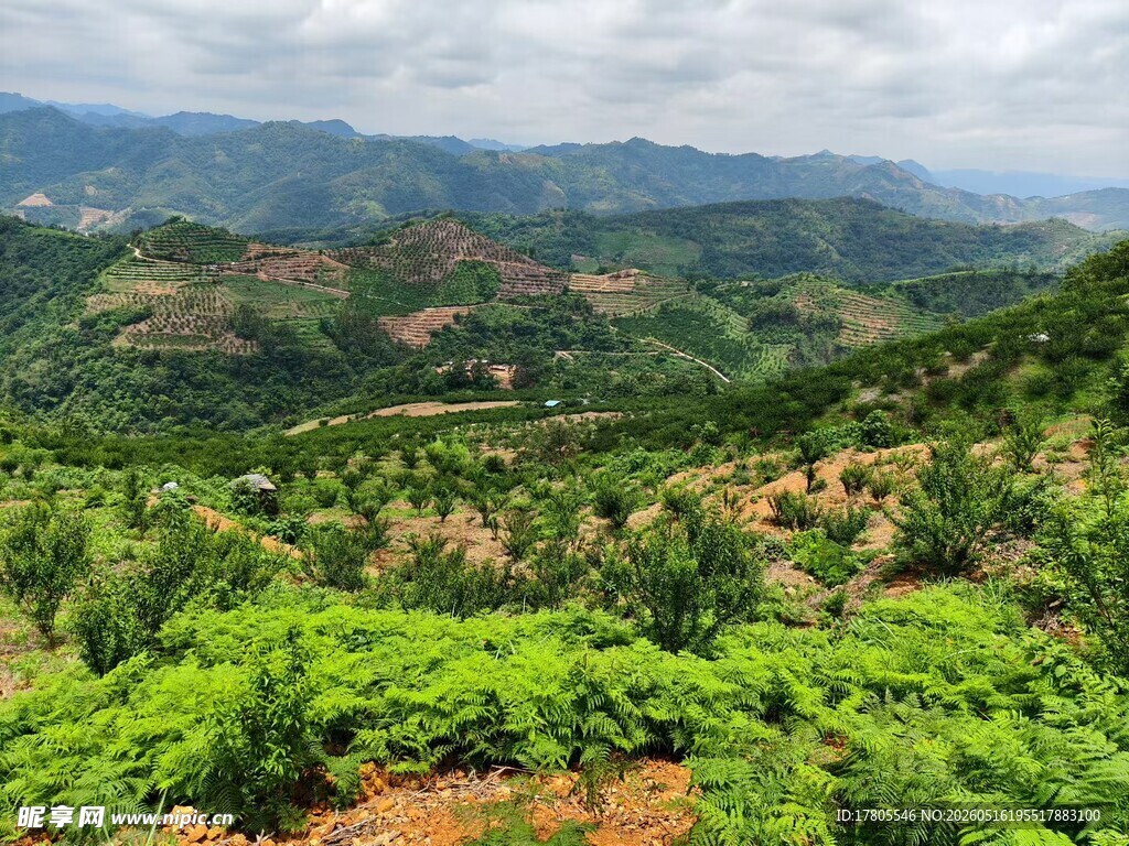 山峦翠绿的自然风光