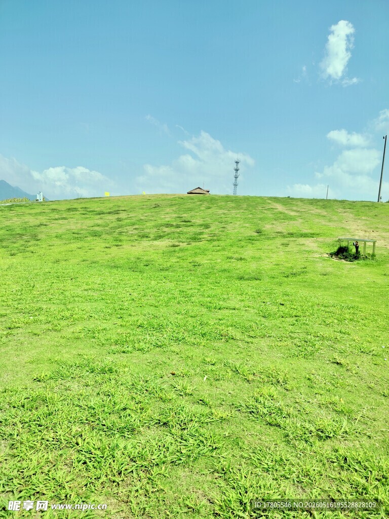 翠绿草原  尽显自然之美