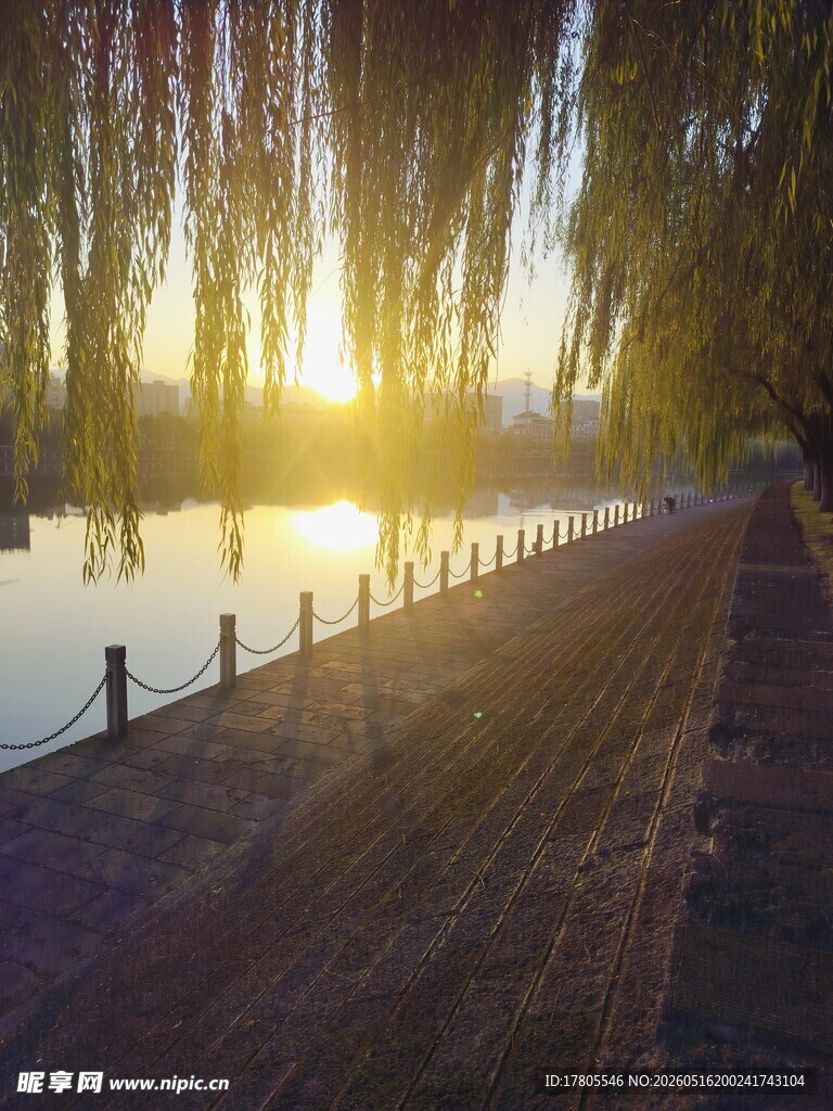 夕阳下湖畔柳岸美景