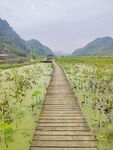 木栈道穿行于绿野山水间