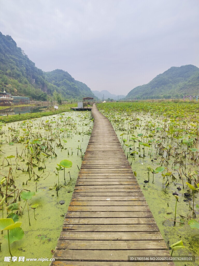 木栈道穿行于绿野山水间