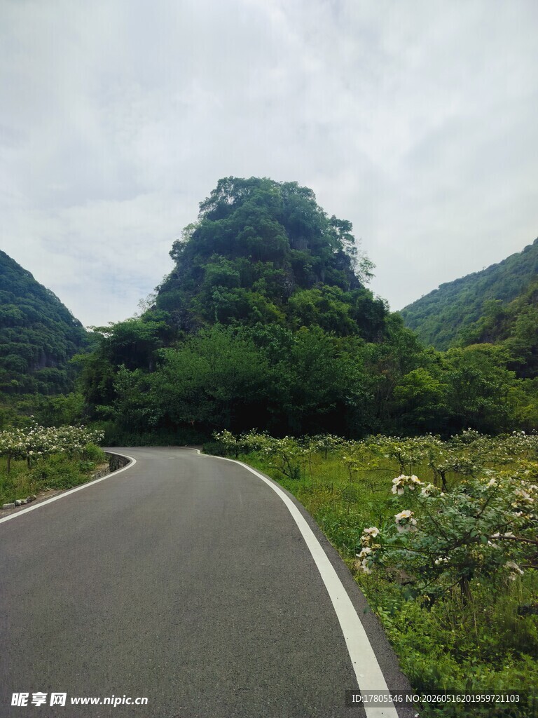 山间公路旁的葱郁景致