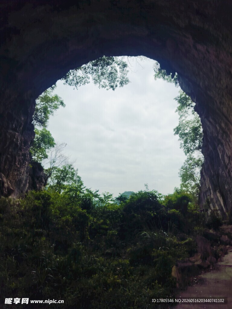 洞穴外绿意盎然的自然景观