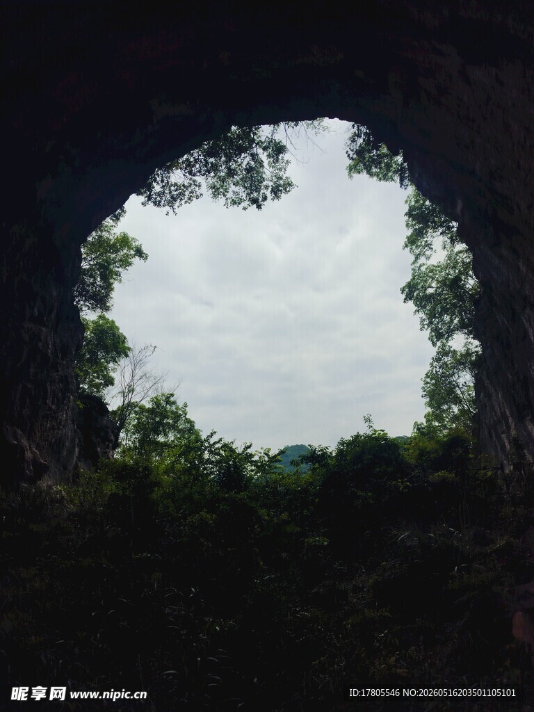 透过树洞看天空景色