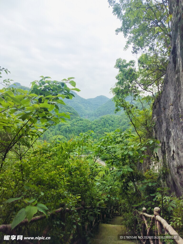 山间绿荫小道  自然美景