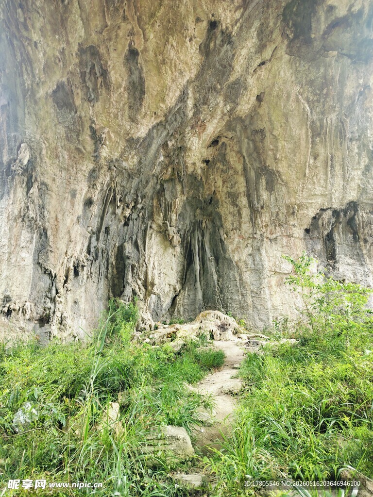 山间洞穴旁的翠绿植被