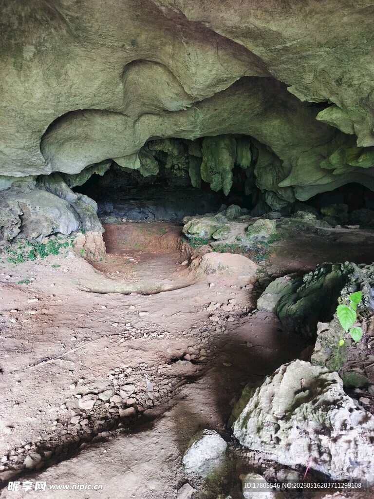 洞穴内景  岩石与绿植景观