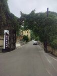 乡村绿荫小道