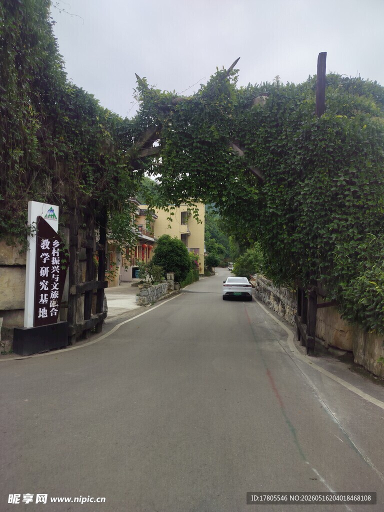 乡村绿荫小道