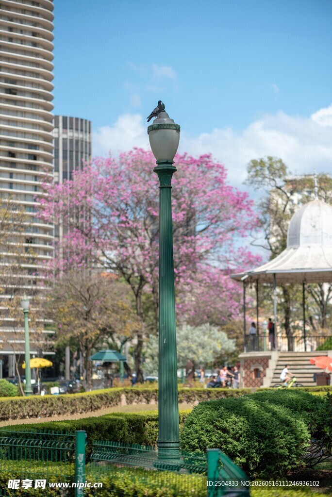 城市中盛开繁花的浪漫街景