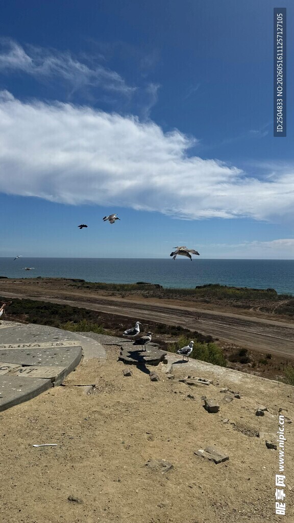海边开阔风景