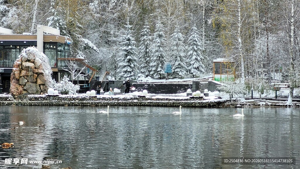 冬日湖畔雪景静谧之美