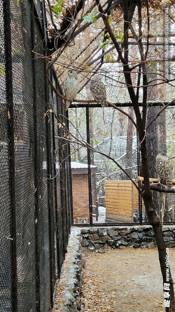 温室内部景象