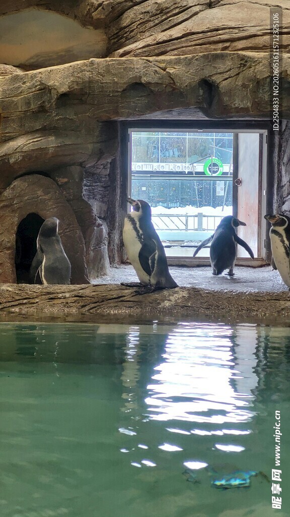 水族馆内的静谧水下景观