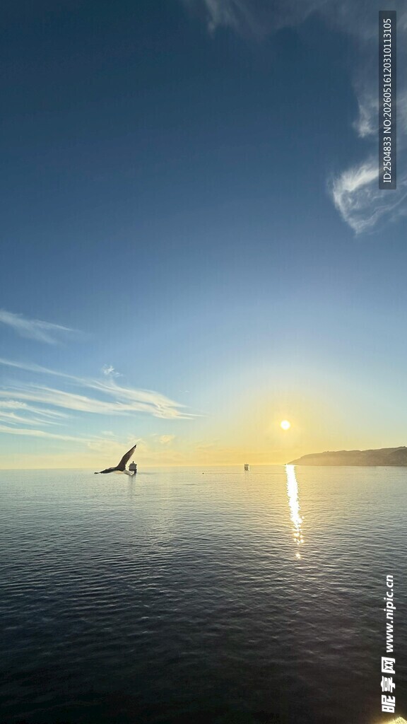 海上日出美景 飞鸟相伴