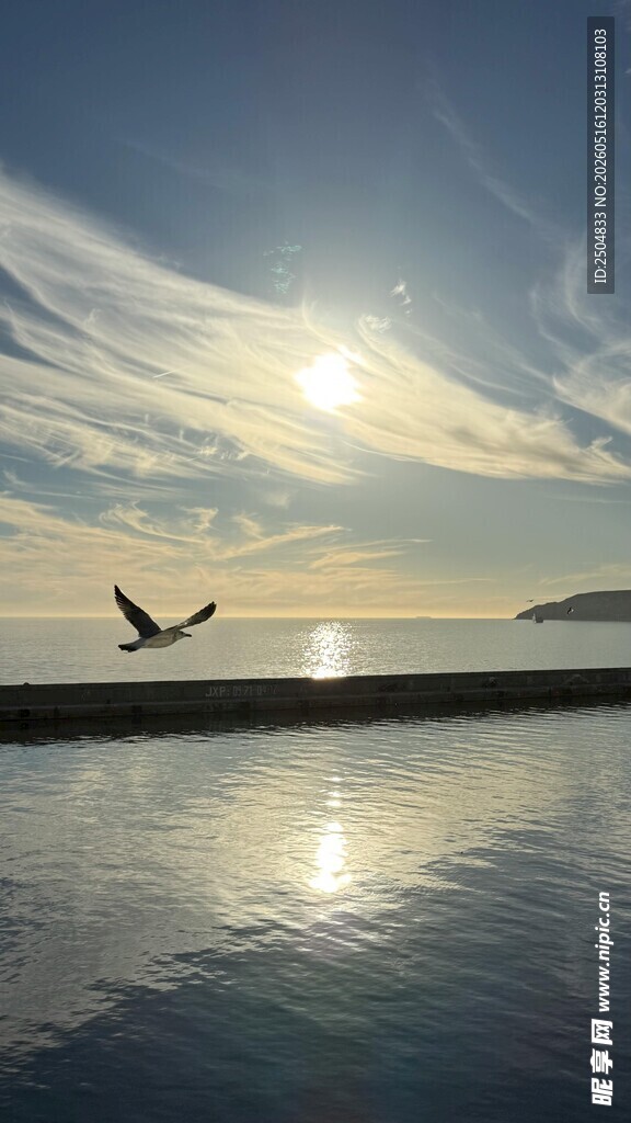 海边日落飞鸟与静谧水面