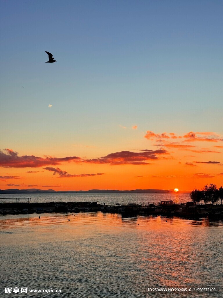 夕阳下飞鸟掠过平静湖面