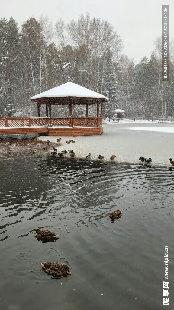 雪天湖面的小屋与 鸭