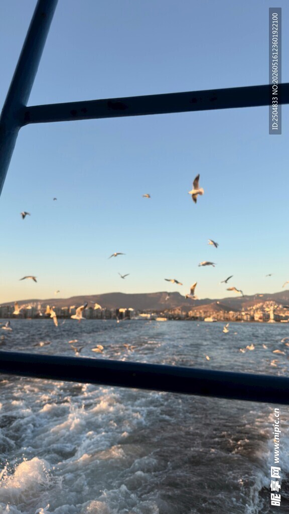 船行海上群鸟飞翔之景