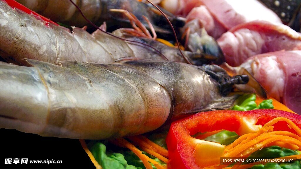 新鲜多彩海鲜与肉类食材