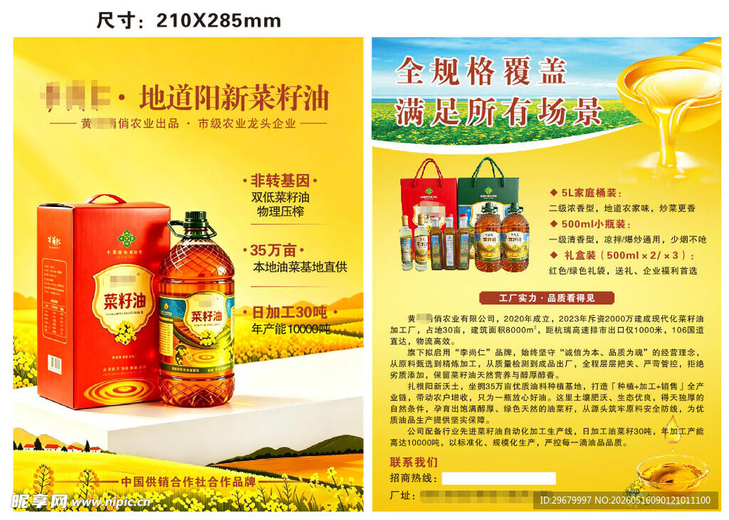 食用油促销宣传单页菜籽油十六开