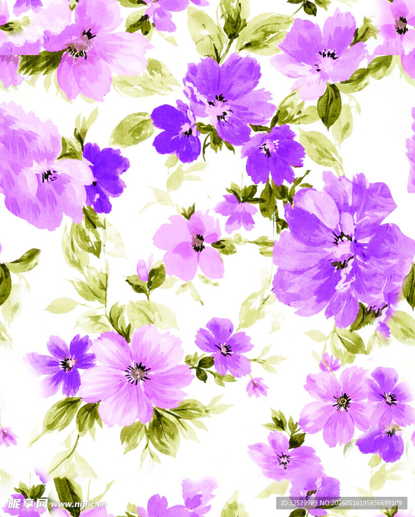 紫色花卉