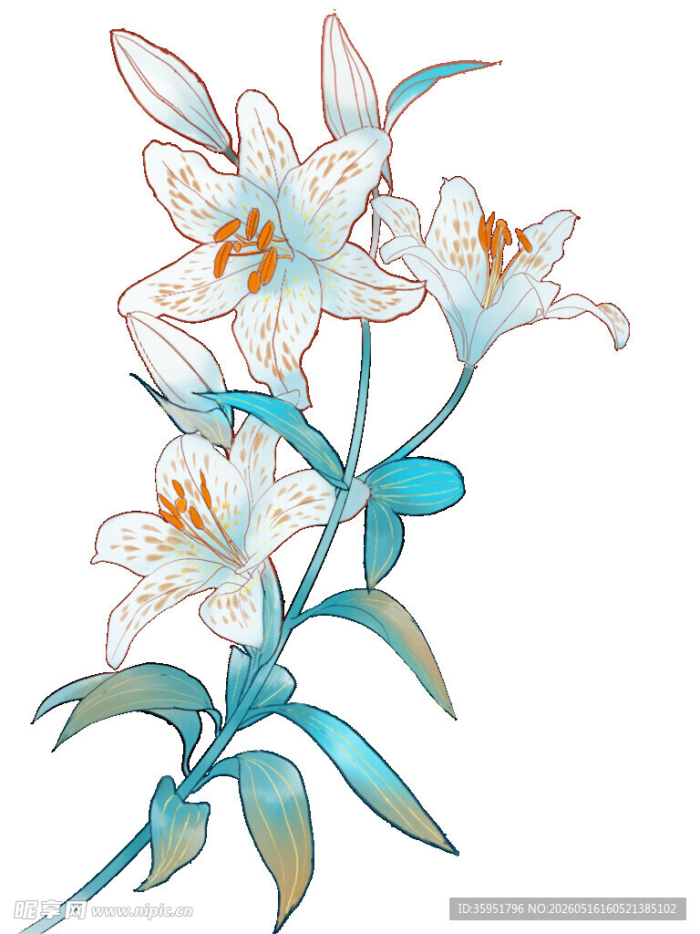 手绘清新百合花插画
