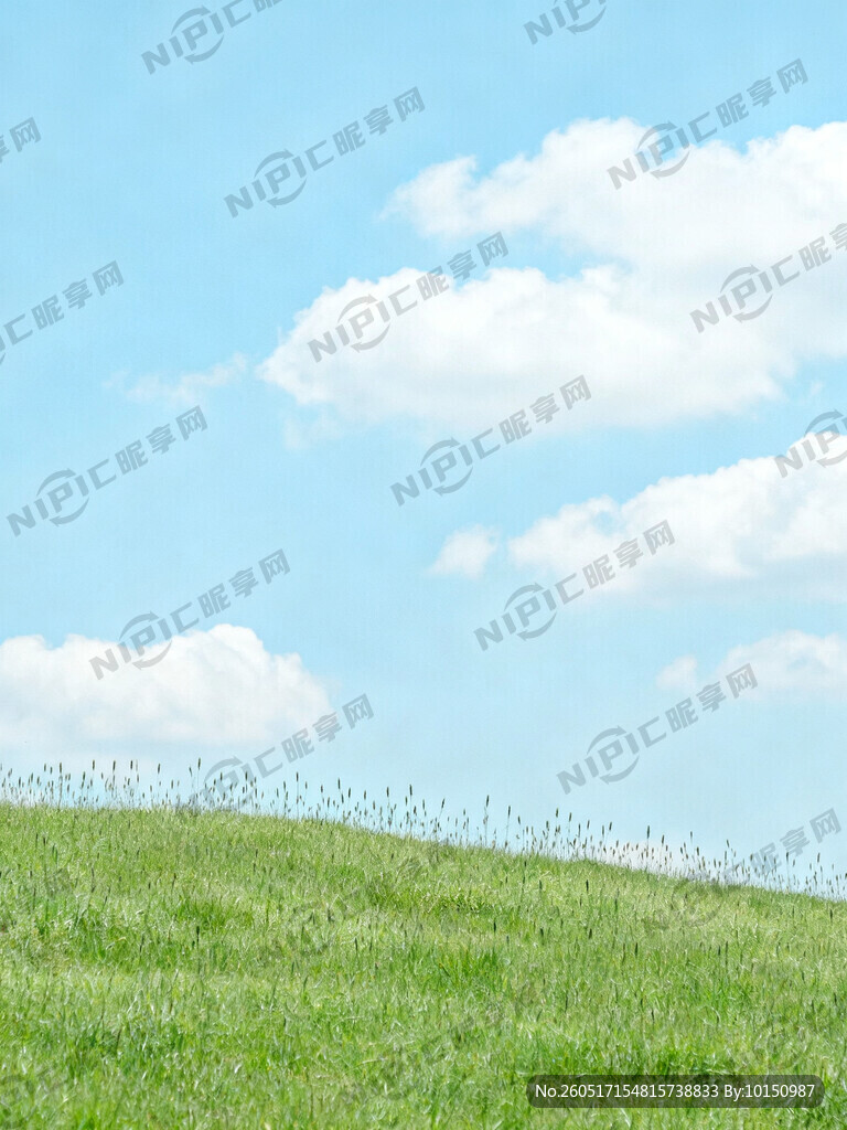 蓝天白云绿草地 小草茂盛 