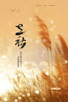 秋日芦苇 诗意暮景