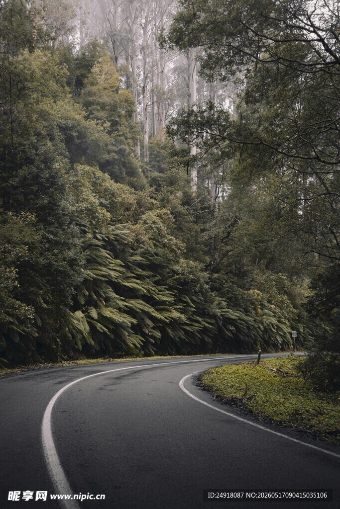 蜿蜒山林间的静谧公路