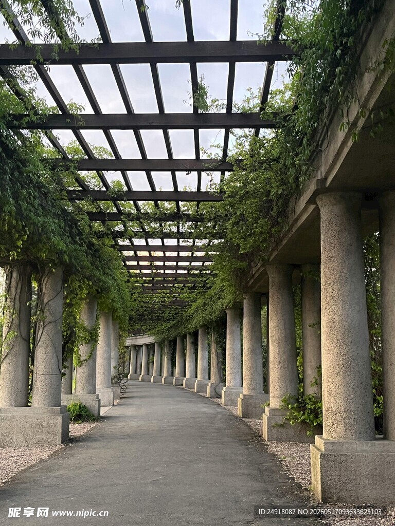 藤蔓覆盖的长廊景观