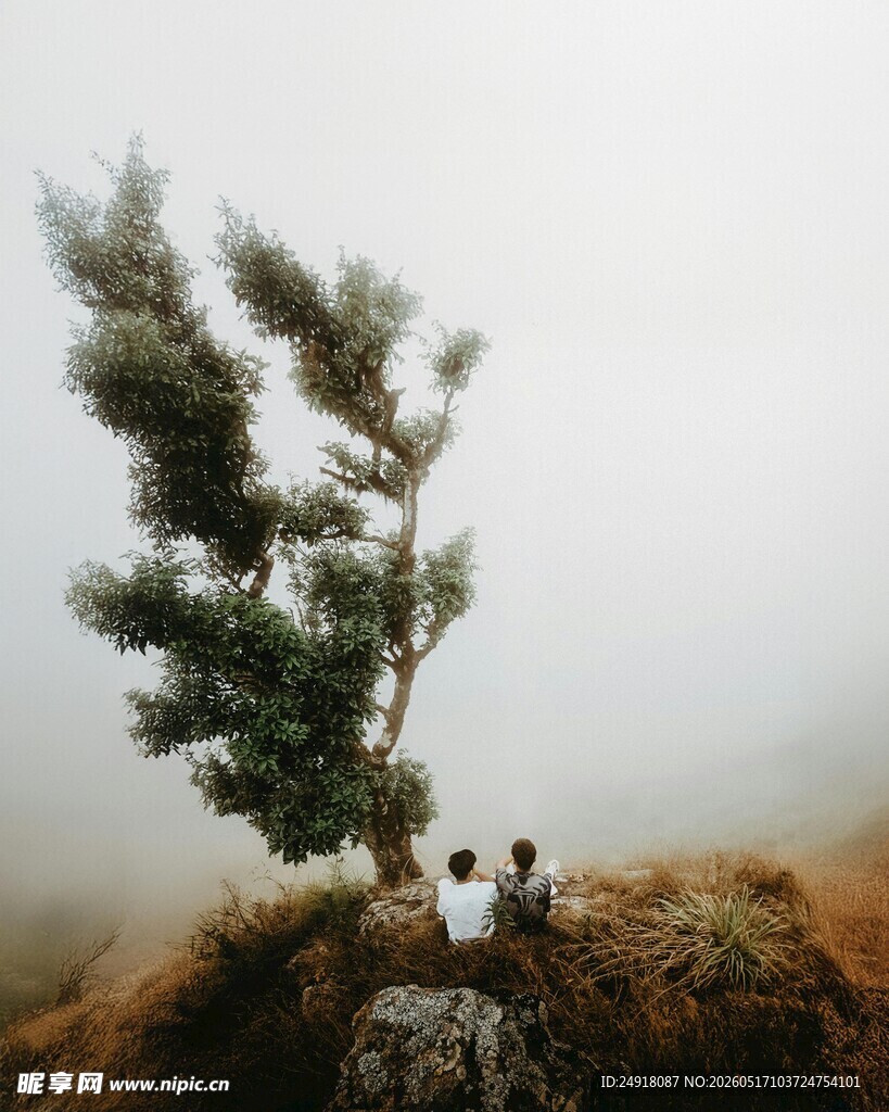 孤树旁的小人偶奇幻景象