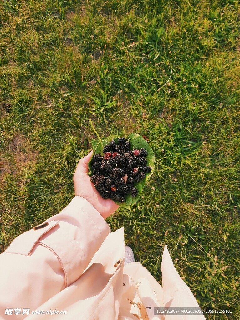 汉服女子于草地优雅背影