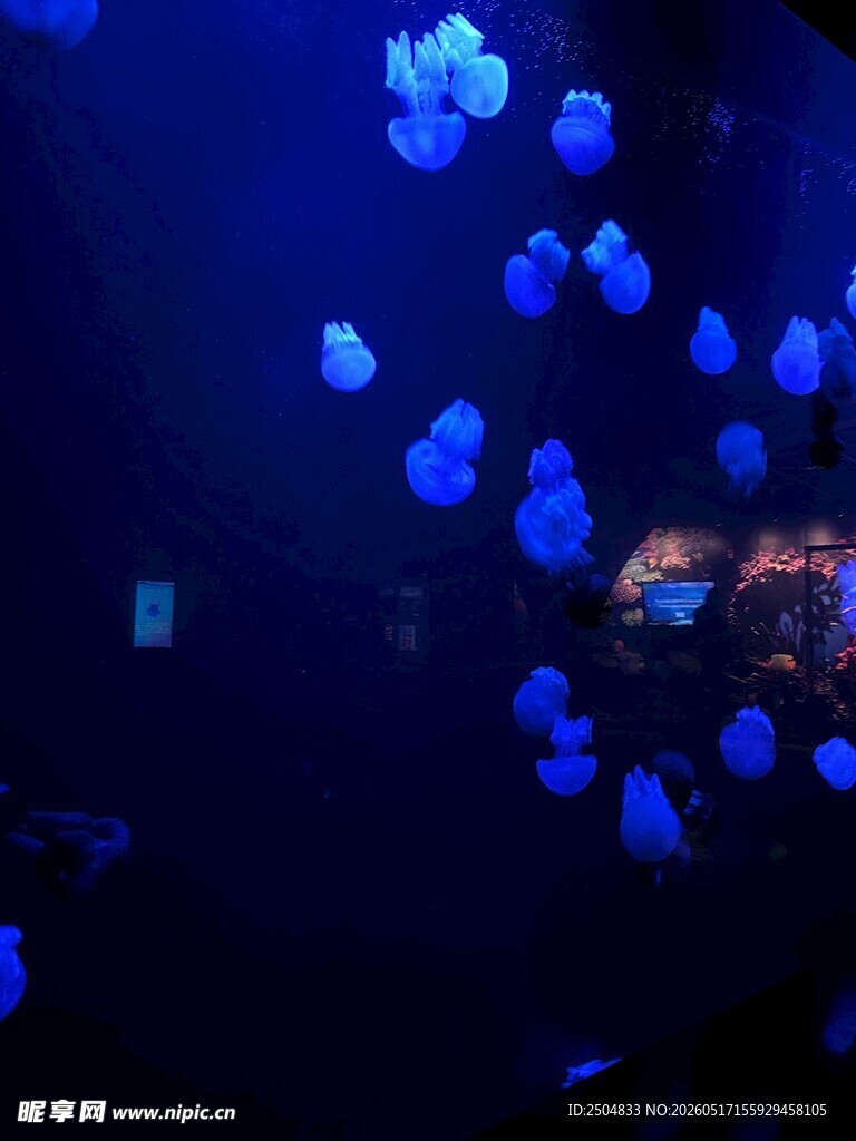 梦幻蓝色水母灯光秀