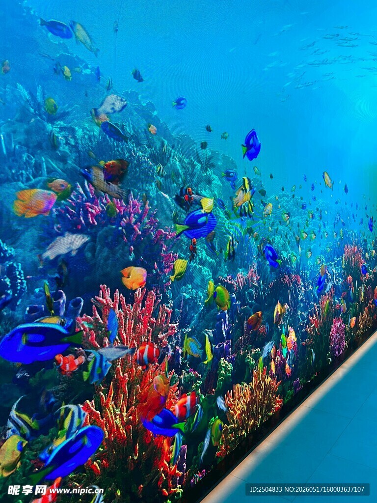 梦幻海底世界绚丽珊瑚鱼