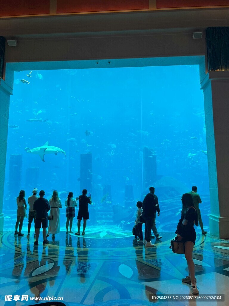 观赏巨型水族馆的人群