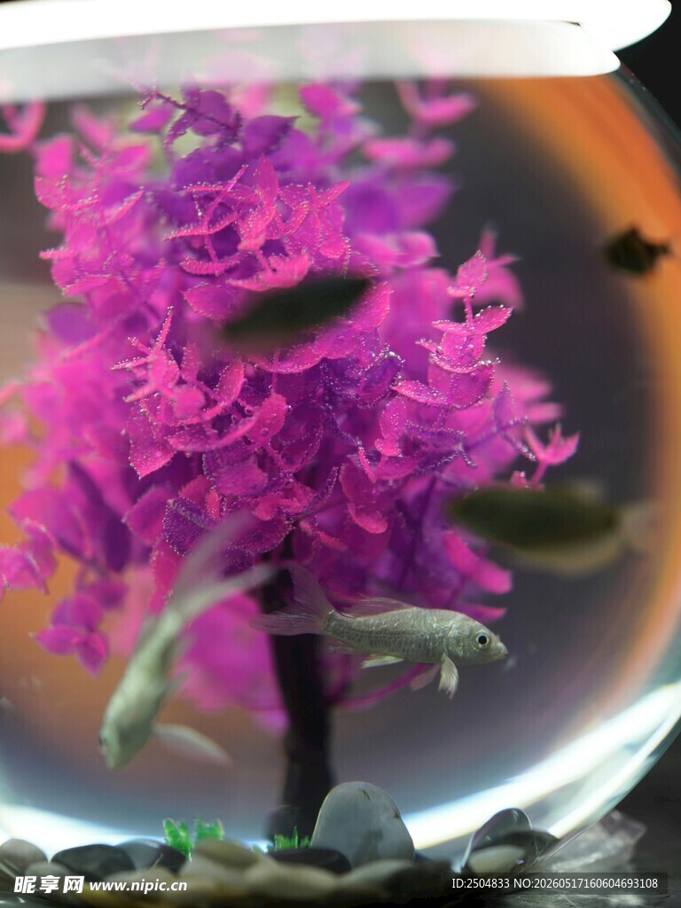 梦幻紫色水下花朵景观