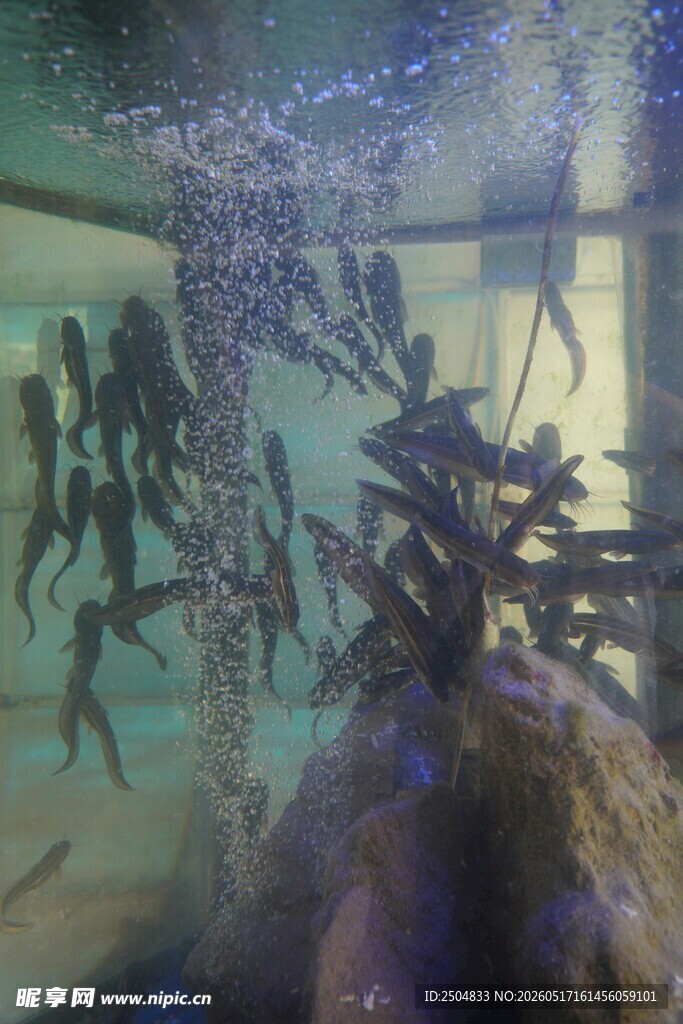 水族馆内的多彩海底景象