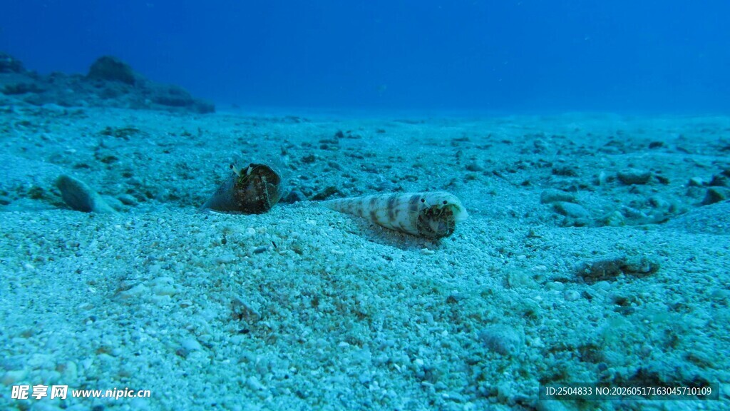 海底沙石景观