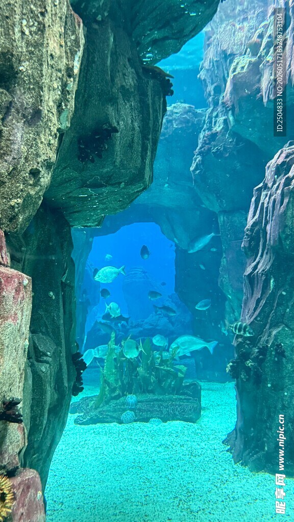 海底洞穴景观 神秘深邃