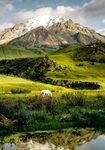 山间牧场