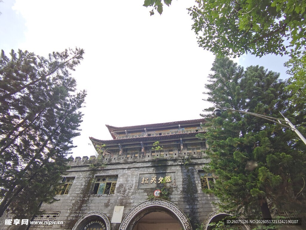 中式古建筑绿树环绕之景