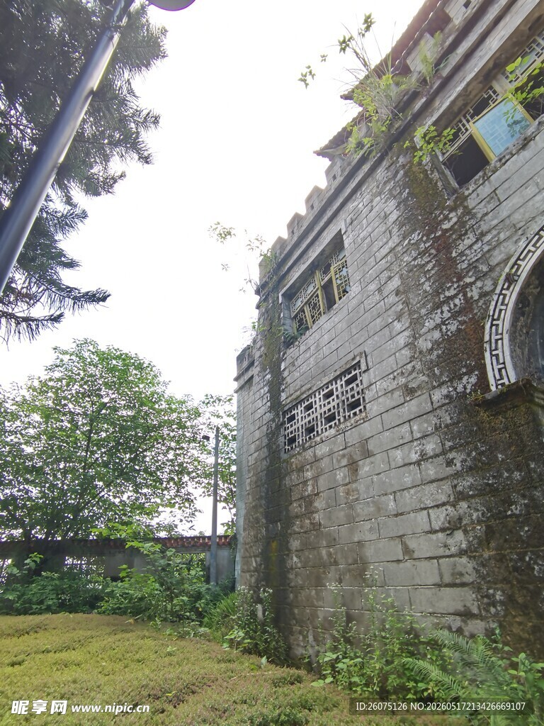 古老石墙旁的绿意景致