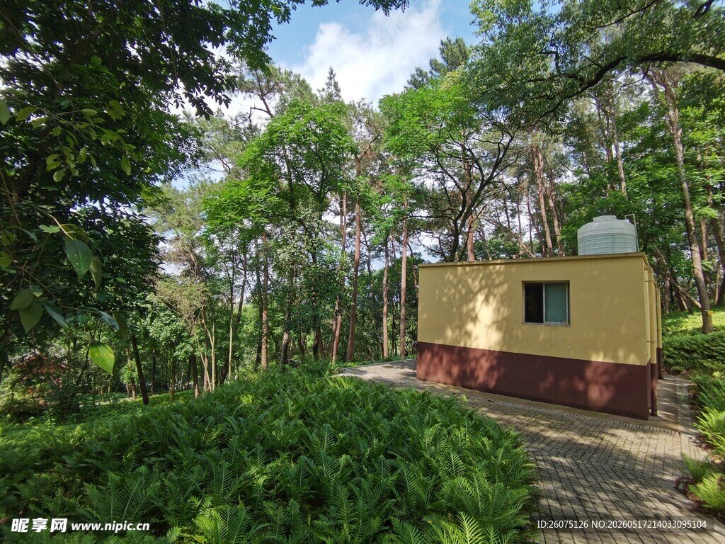 林间小屋隐于绿意之中