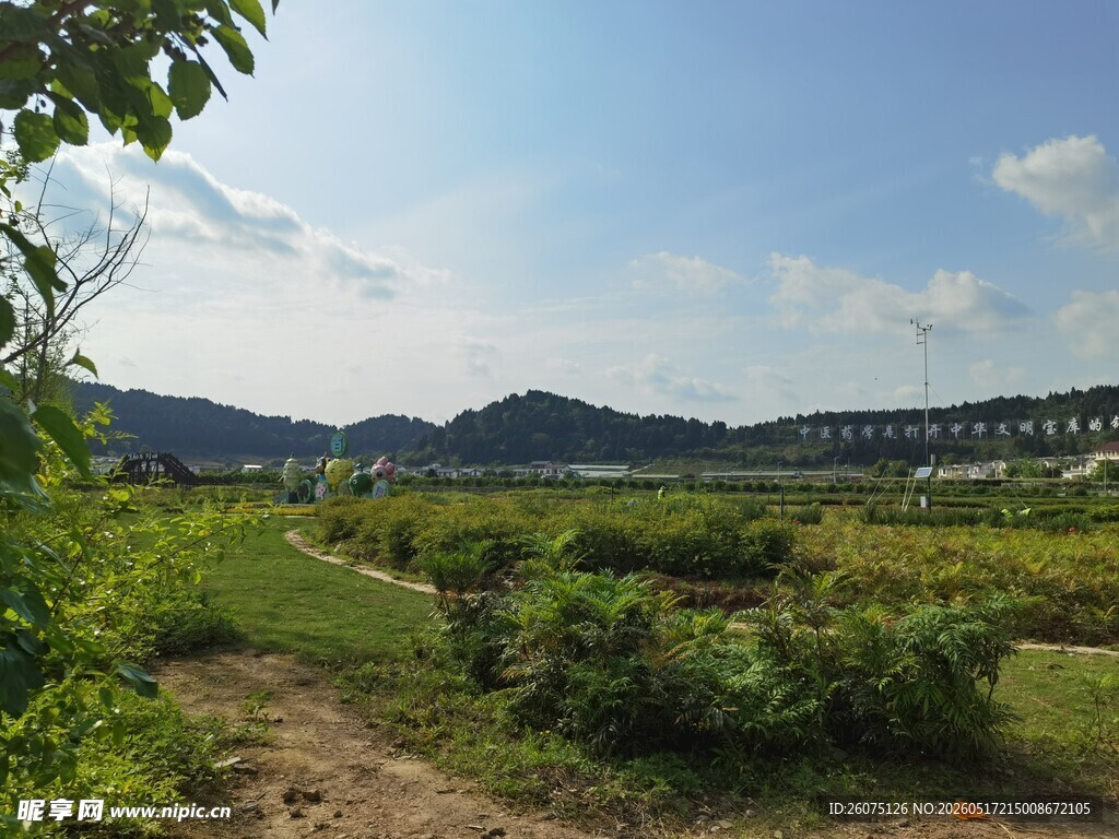 乡村田野自然风光图景